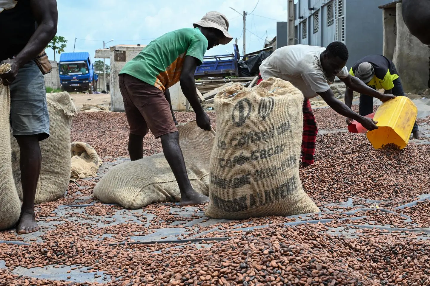 Côte d’Ivoire : vente illicite de Cacao, l’autorité réagit