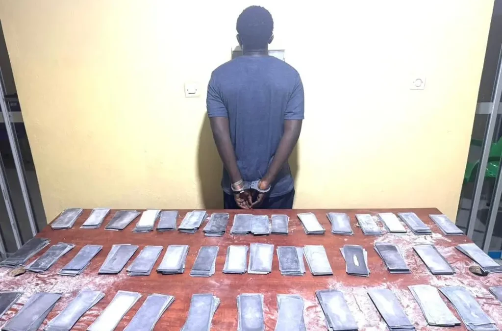 Sénégal : saisie record de 3,5 milliards FCFA en faux billets