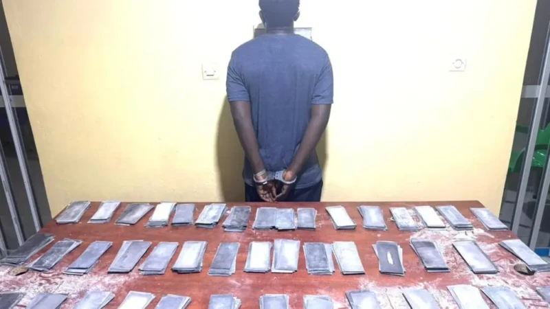 Sénégal : saisie record de 3,5 milliards FCFA en faux billets