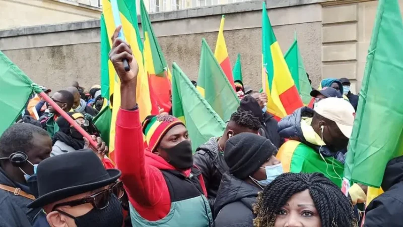 Diaspora Mali