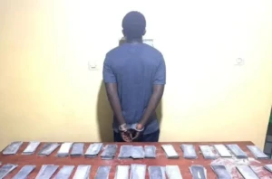 Sénégal : des milliards de FCFA de faux billets interceptés