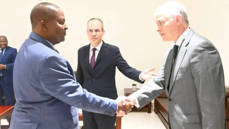 Touadéra et son invité Pedro Marinho Costa