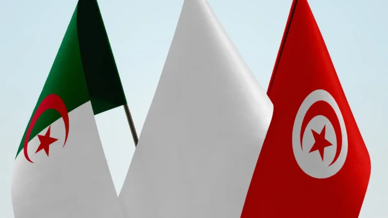 Tunisie - Algérie