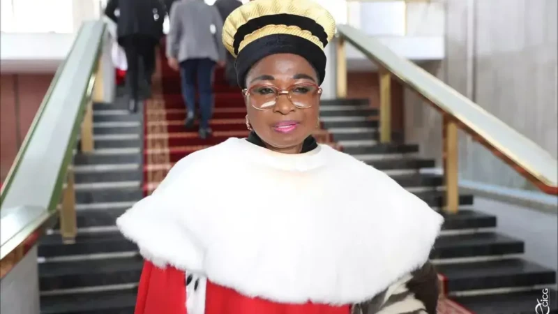 Présidentielle 2025 en Côte d'Ivoire : la phase des contestations ouvertes