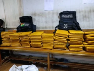 Côte d'Ivoire : 80 blocs de cannabis découverts à Grand-Bassam