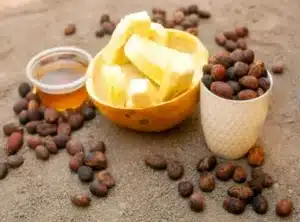 Côte d'Ivoire : le prix bord champ du kg de beurre de karité fixé