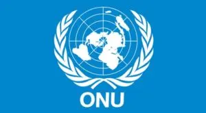 ONU - Cameroun
