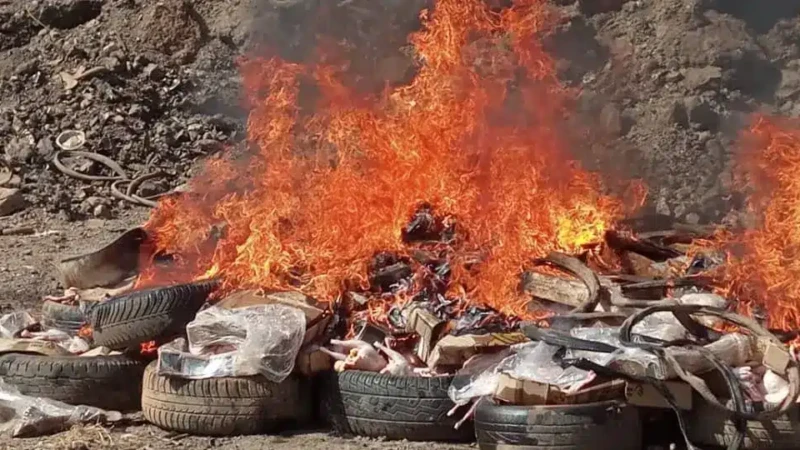 Burkina Faso : 2050 poulets avariés incinérés à Pô