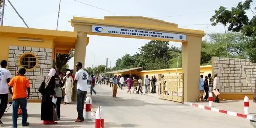 Sénégal : le gouvernement s’attaque aux faux diplômes de doctorat