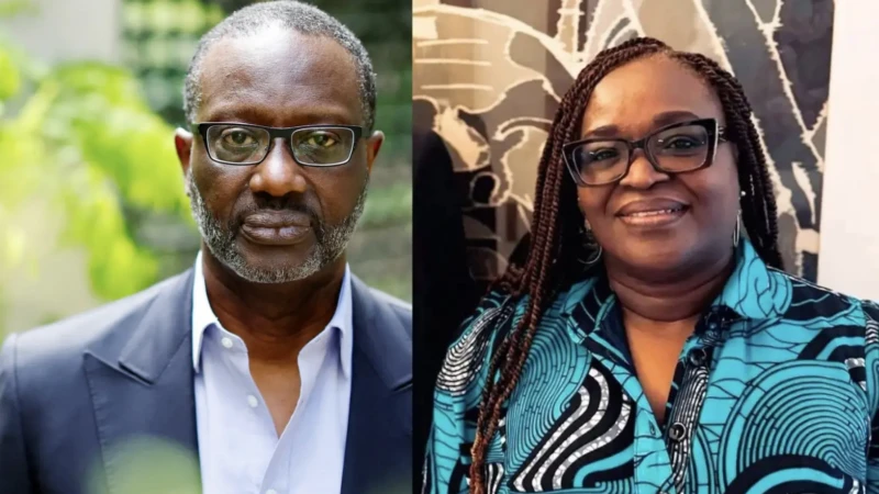 tidjane-thiam-et-mylene-aithard-oule-pdci-rda