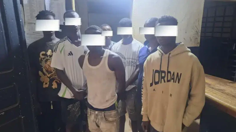 Côte d'Ivoire : 7 voleurs de sacs de cacao interpellés à Duekoué