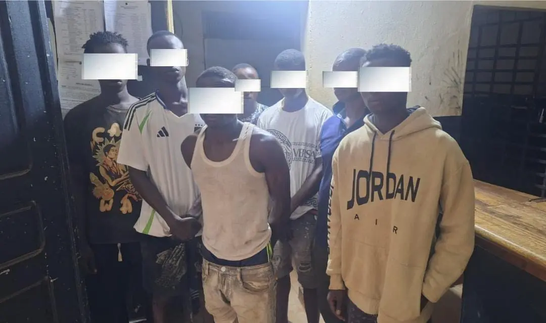 Côte d’Ivoire : 7 voleurs de sacs de cacao interpellés à Duekoué