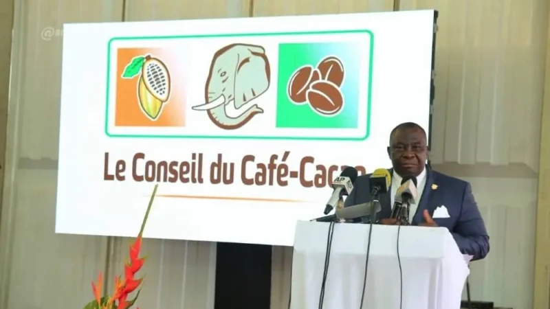 DG CCC - Côte d'Ivoire