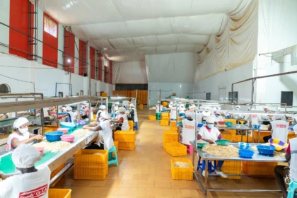 Côte d’Ivoire - plus de 2 millions de jeunes autonomisés depuis 2011