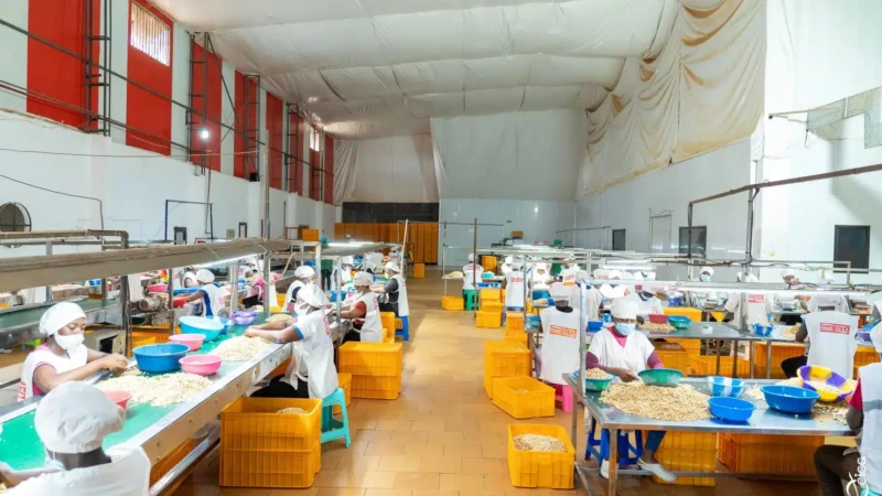 Côte d’Ivoire - plus de 2 millions de jeunes autonomisés depuis 2011