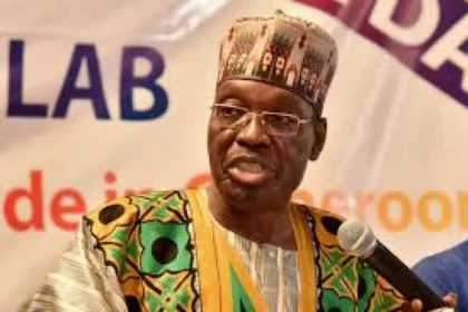 Cameroun : Tchiroma soutenu par des militaires ?