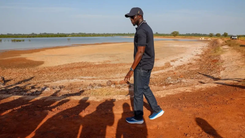 Sénégal : trois digues anti-sel protège 1 057 hectares de terres