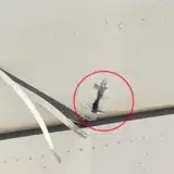 Niger : un avion ivoirien touché par balles