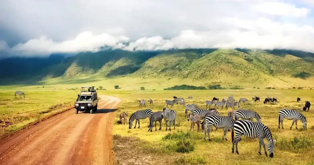 Tourisme africain : le classement des géants