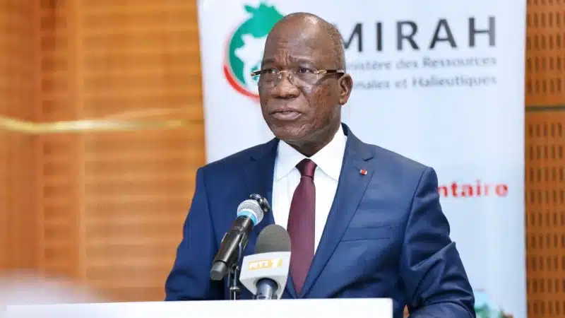 Côte d'Ivoire : gestion des ressources forestières, les ambitions dévoilées