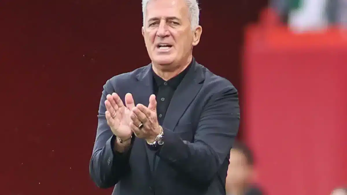 Algérie : le sélectionneur Vladimir Petkovic va prolonger