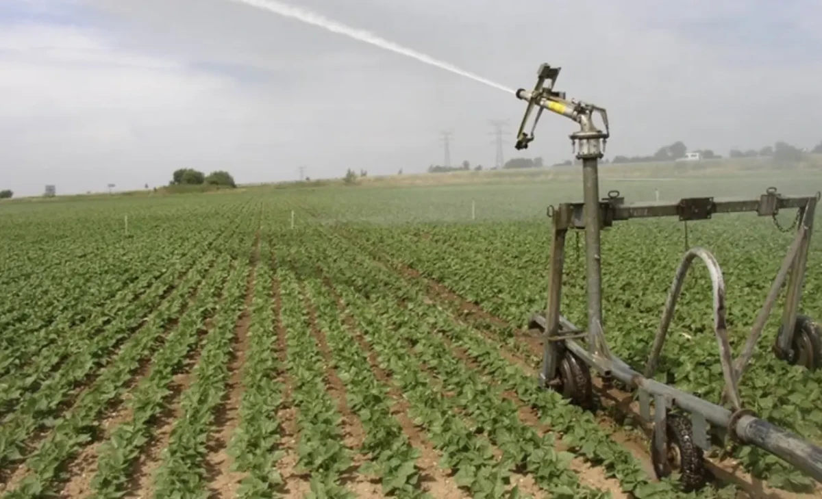 L’agriculture au Bénin, un secteur stratégique en pleine reconfiguration