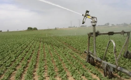 L’agriculture au Bénin, un secteur stratégique en pleine reconfiguration