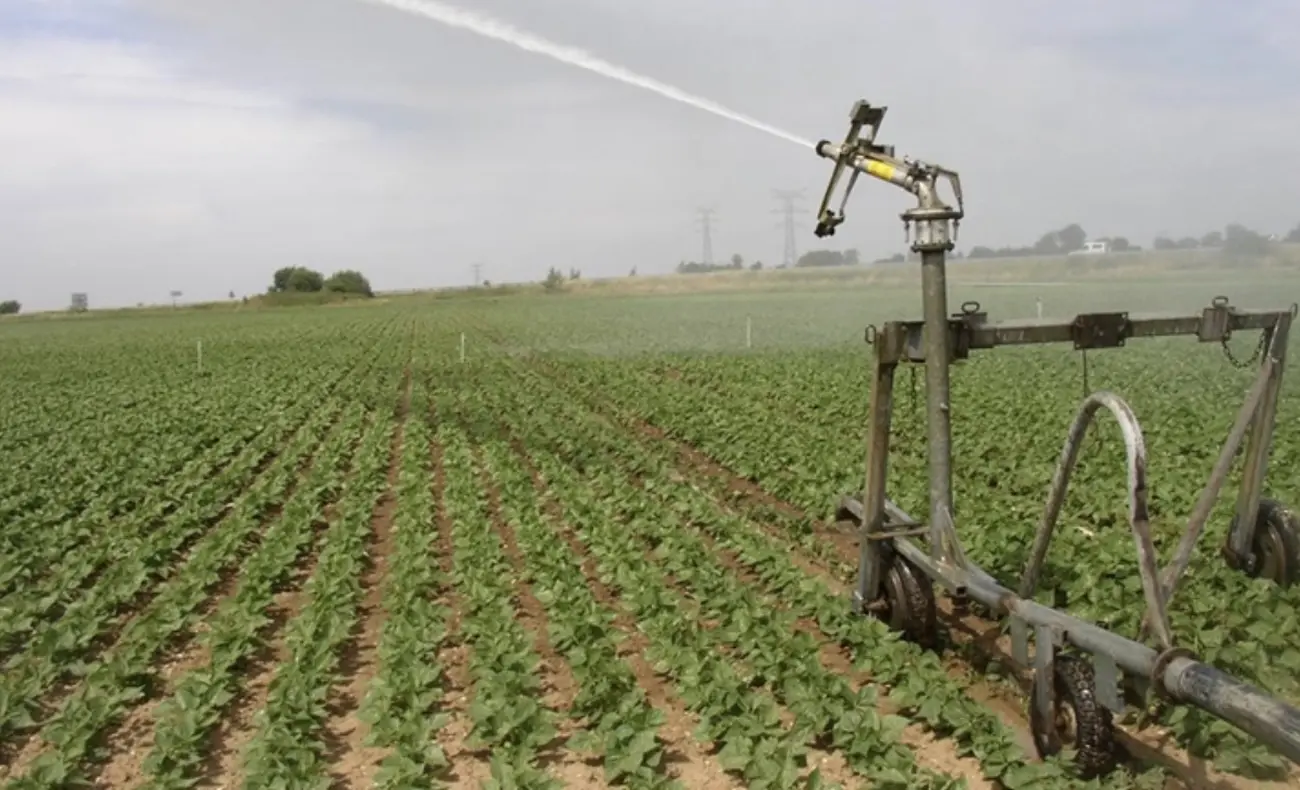 L’agriculture au Bénin, un secteur stratégique en pleine reconfiguration