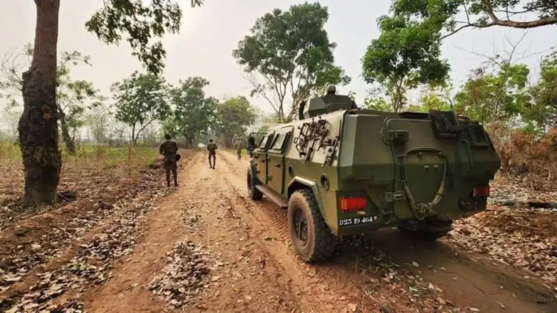 Bénin : "Alligator" l'armée annonce un exercice militaire d'envergure