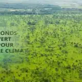 Fonds vert la Côte d'Ivoire devient un hub régional en Afrique