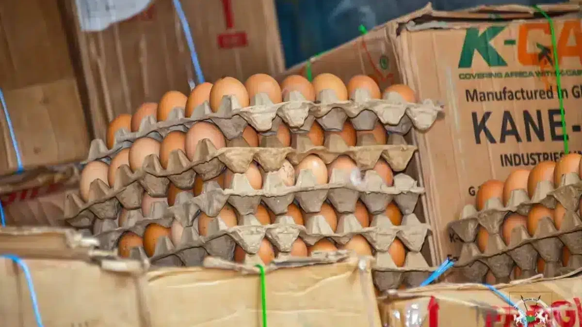 Burkina Faso : 180 000 Œufs saisis et transformés en engrais