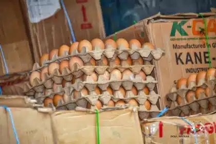 Burkina Faso : 180 000 Œufs saisis et transformés en engrais