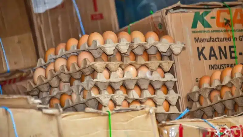 Burkina Faso : 180 000 Œufs saisis et transformés en engrais