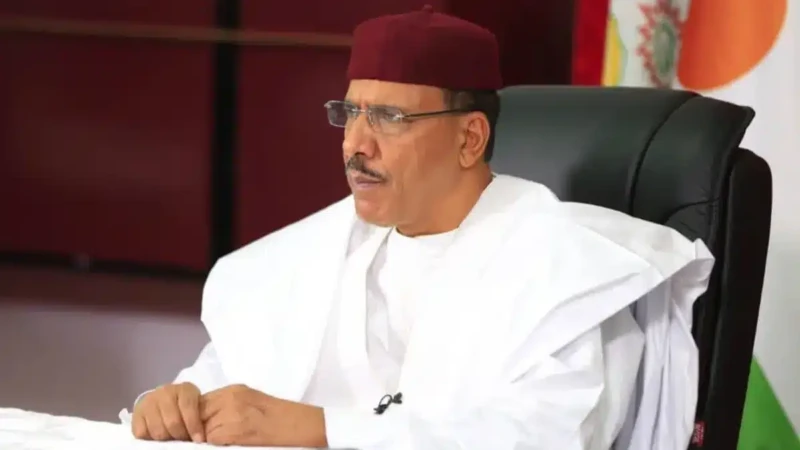 Résolution de l'UE sur Mohamed Bazoum, le Niger proteste