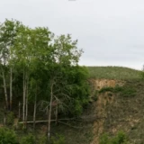 165 millions FCFA en jeu dans un litige foncier à Abidjan entre Litige foncier entre Danhi Robert et Loquet Olga