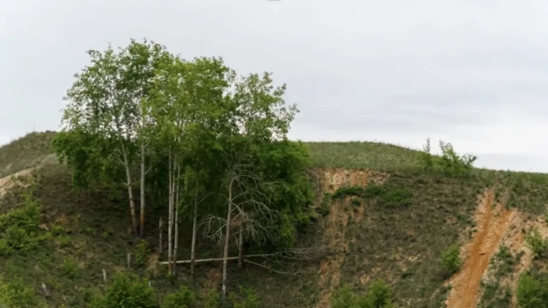 165 millions FCFA en jeu dans un litige foncier à Abidjan entre Litige foncier entre Danhi Robert et Loquet Olga