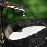 6 milliards disparus - les zones d’ombre qui secouent la SRCI