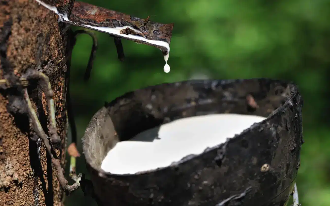 6 milliards disparus - les zones d’ombre qui secouent la SRCI