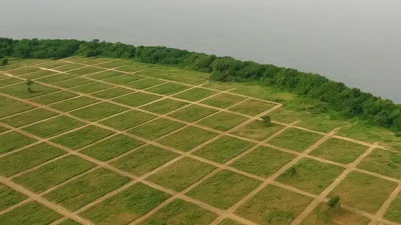 Acheter un terrain en Côte d’Ivoire - un marché attractif mais risqué
