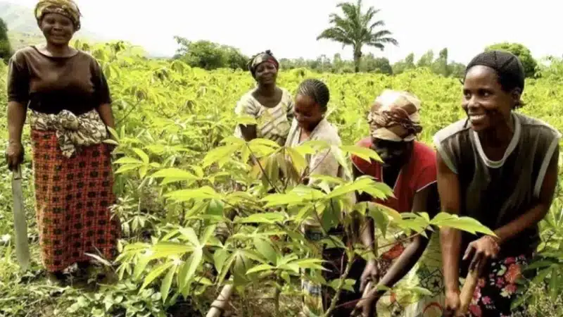 Côte d’Ivoire - droits des femmes et autonomisation, une transformation en marche