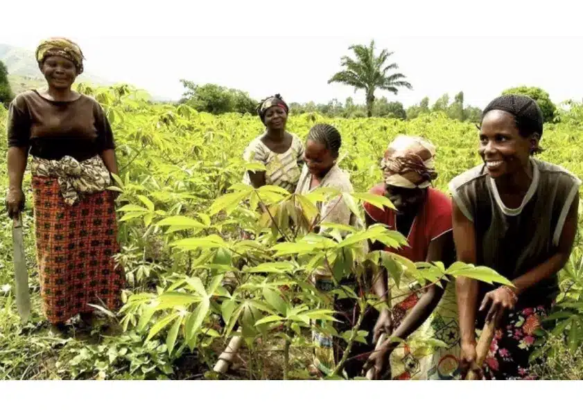 Côte d’Ivoire : droits des femmes et autonomisation, une transformation en marche