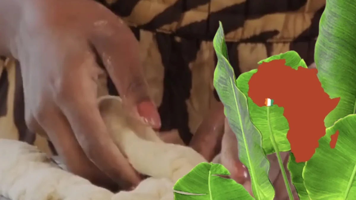 Côte d’Ivoire : Les secteurs ultra-rentables où investir en 2026