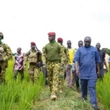 Le Burkina Faso : interdit l'importation du riz sur son territoire