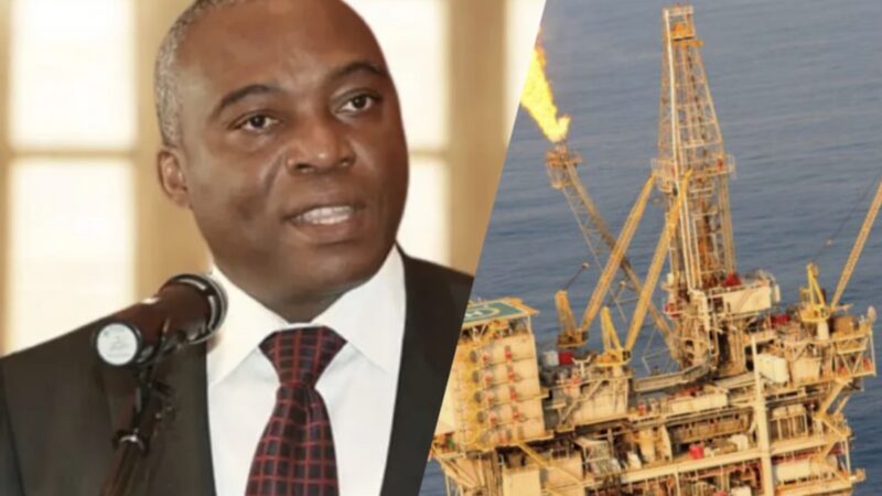 Ahoua Don Mello évoque le gisement balaine