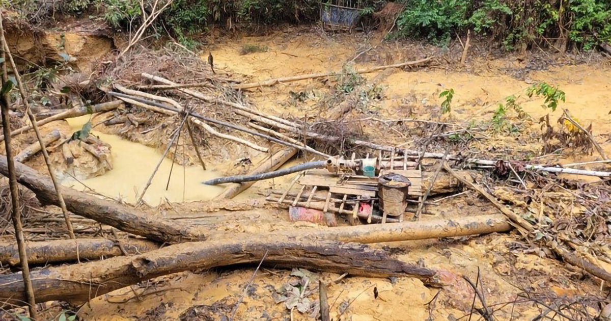 Côte d’Ivoire : 4 Togolais au PPEF pour orpaillage illégal