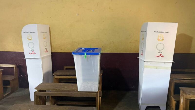 Guinée : le taux de participation, enjeu majeur des législatives