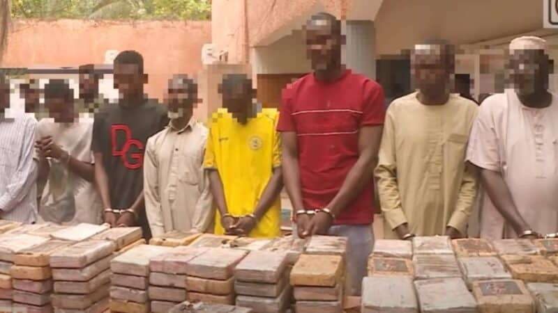 Niger : saisie record de 268,045 kg de drogue