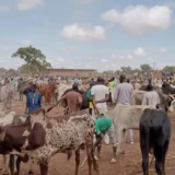 Burkina Faso pourquoi l'exportation du bétail est suspendue