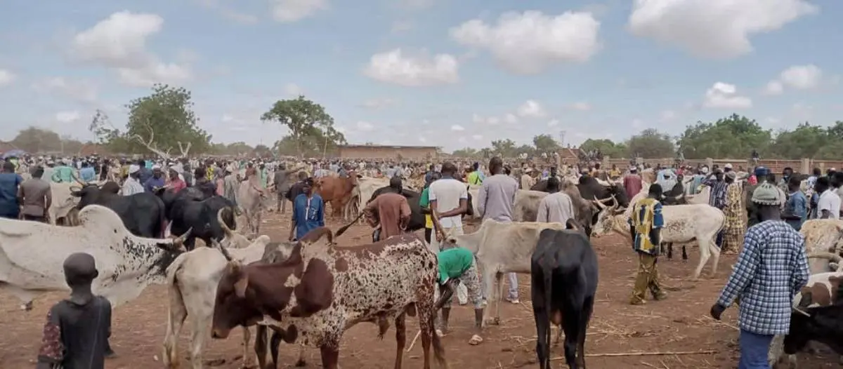 Burkina Faso : pourquoi l’exportation du bétail est suspendue