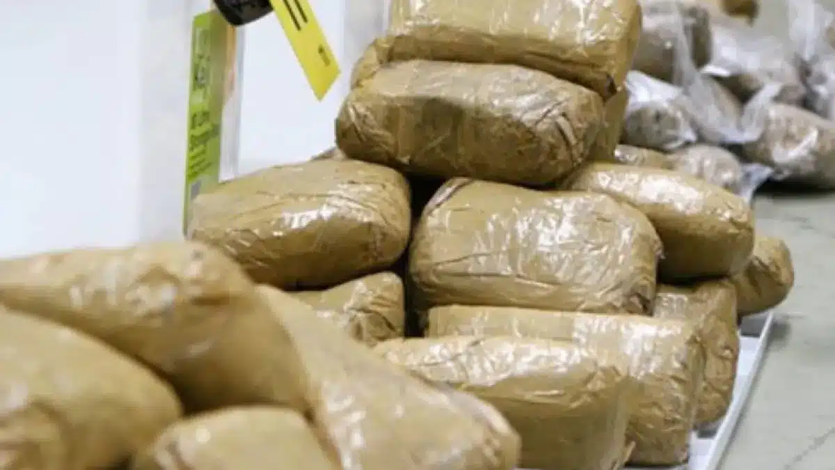 Côte d'Ivoire : un Béninois risque 10 ans de prison pour trafic de drogue